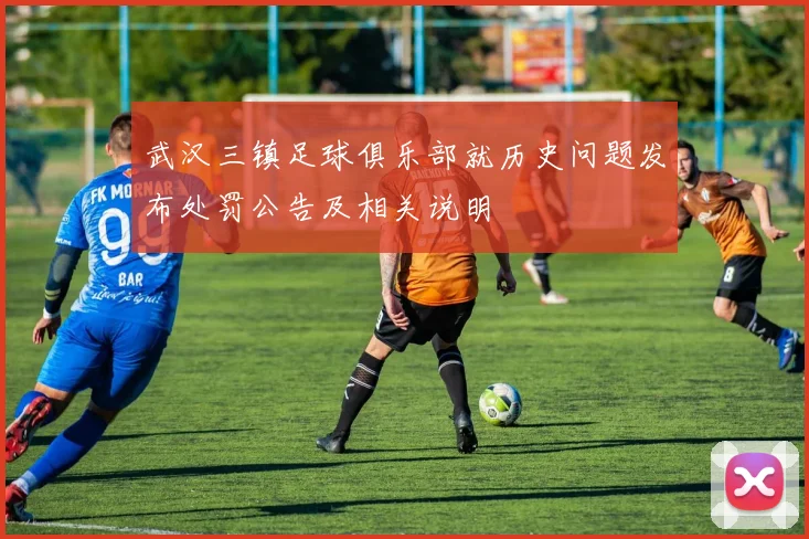 武汉三镇足球俱乐部就历史问题发布处罚公告及相关说明