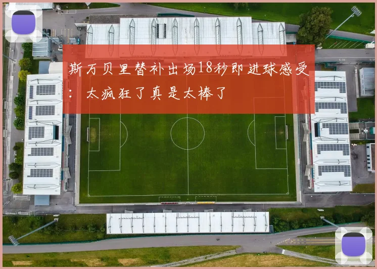 斯万贝里替补出场18秒即进球感受：太疯狂了真是太棒了